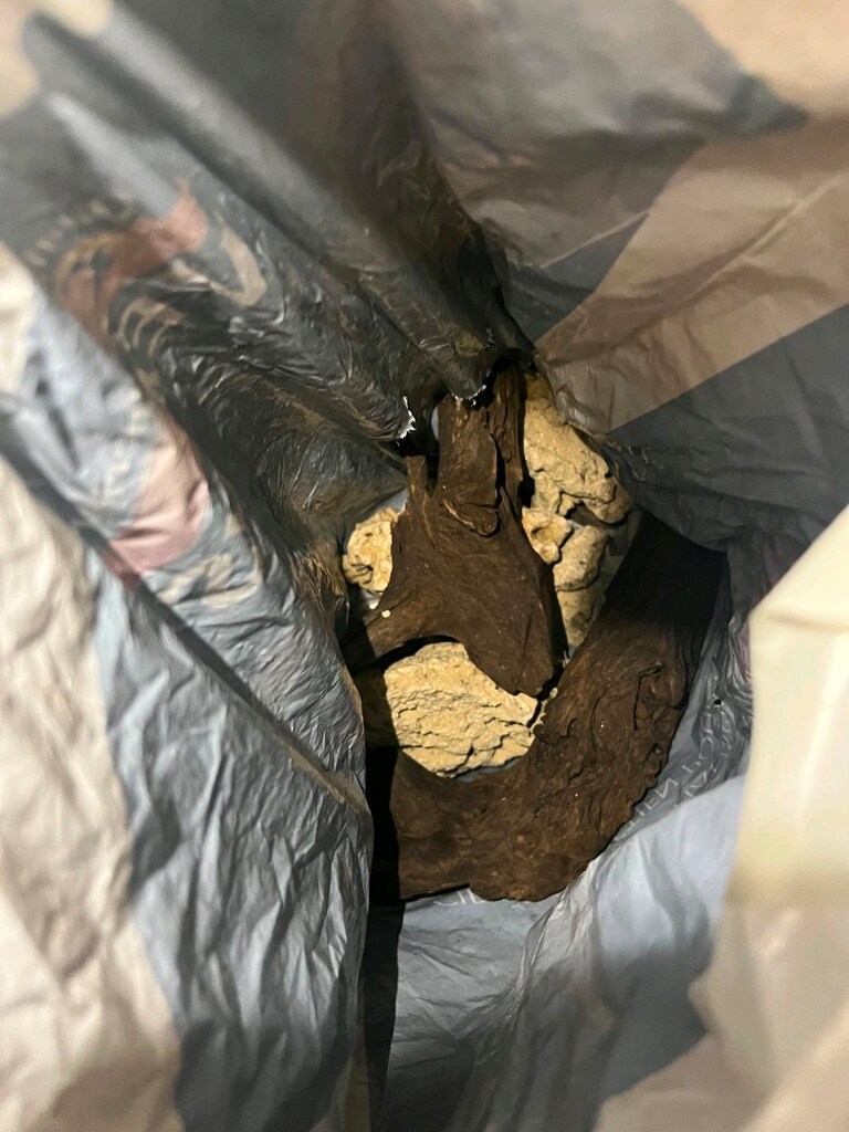 büyü boy dolaplı akvaryum malzemeleri yaninda hediye - 8