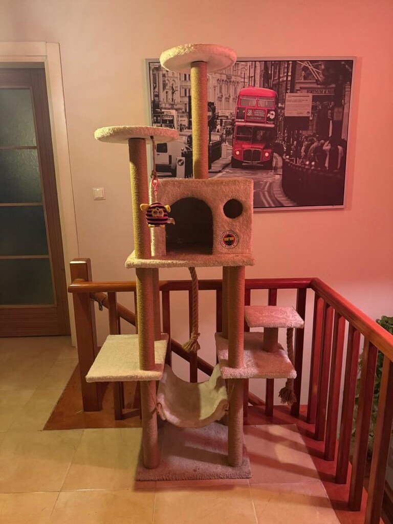 Çok Katlı Kedi Tırmalama Evi & Oyun Platformu - 3