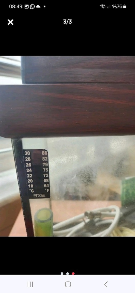akvaryum - 2