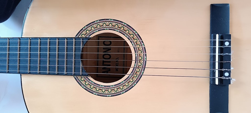 Antonio Sanchez CG851 model Klasik Gitar Çantalı - 3