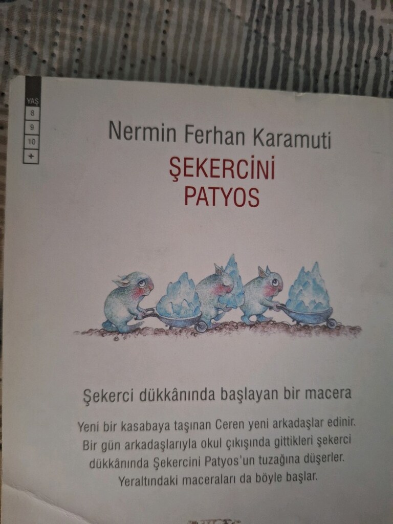 şekercini patyos can yayınları - 3