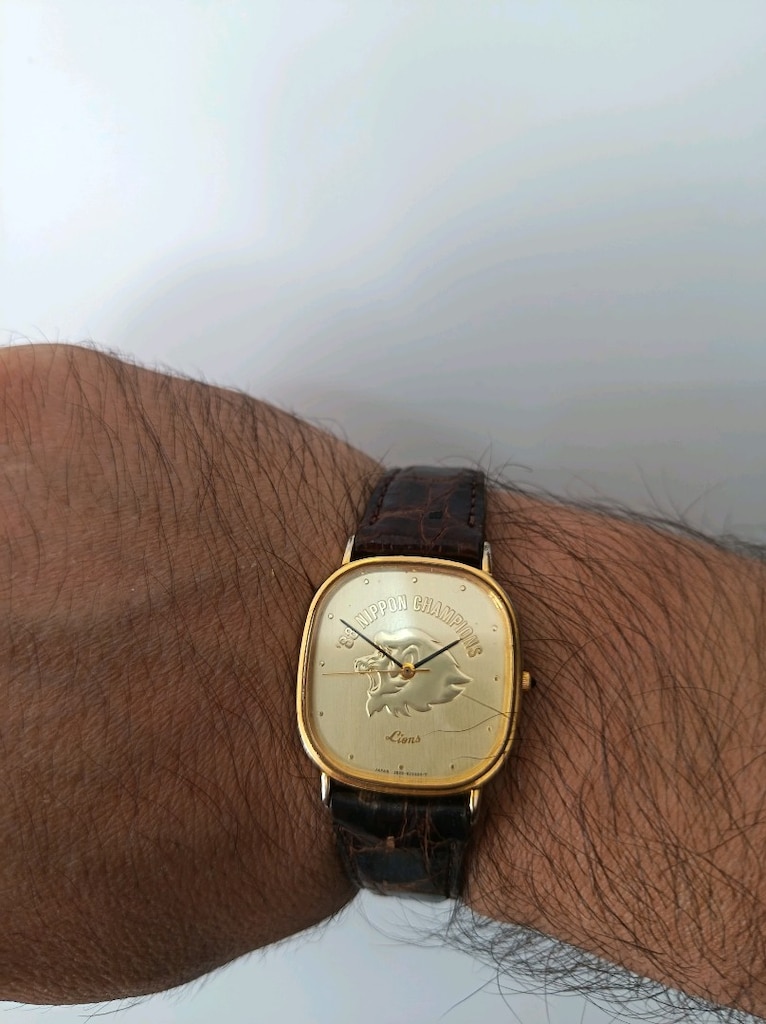 Citizen lion - 7