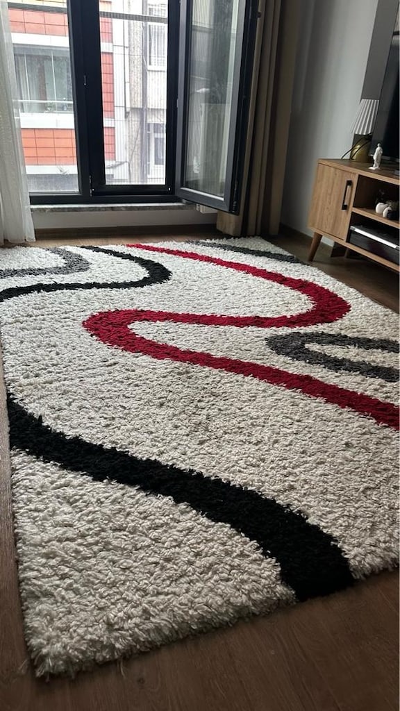 6 metrekare shaggy halı - 2