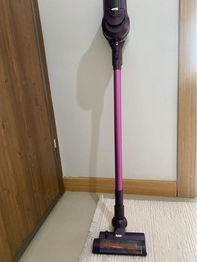 dik süpürge - 3