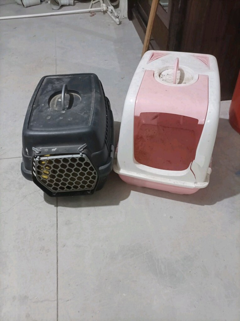 KEDİ TAŞIMA ÇANTA - 2