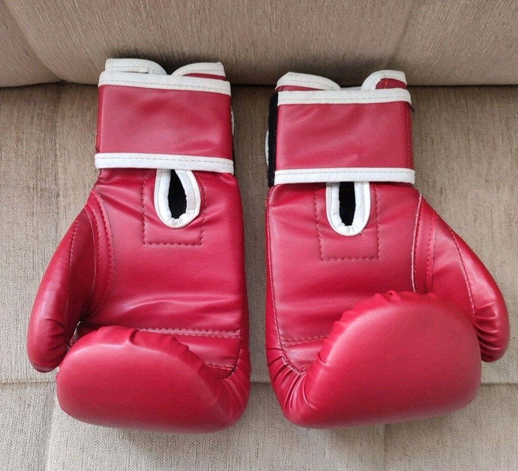 The Iron Profesional 10 OZ boks eldiveni temizdir - 2