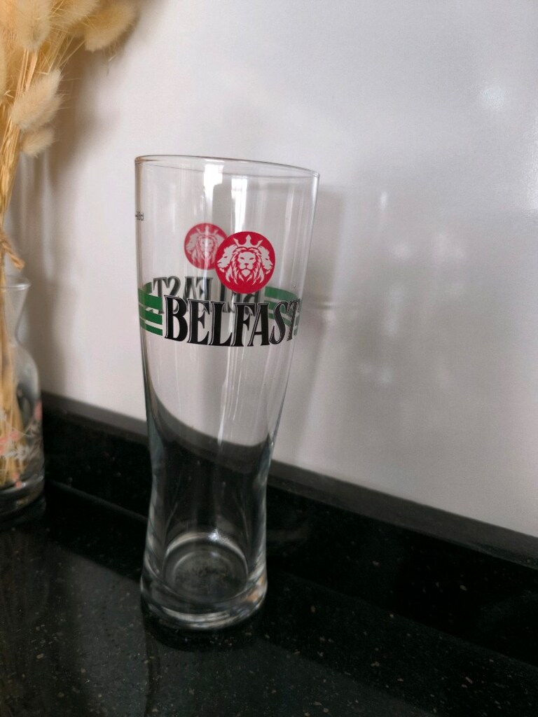 Belfast 30 cl Cam Bardak - 4