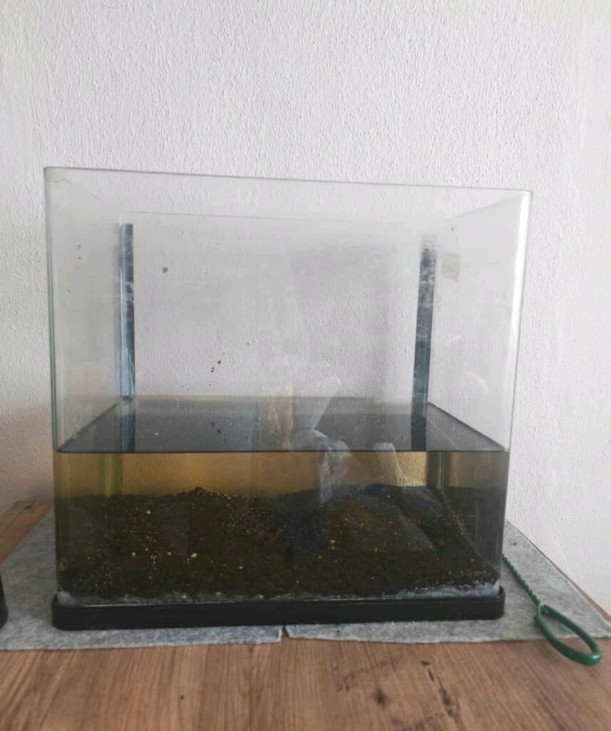 40 lt akvaryum - 2