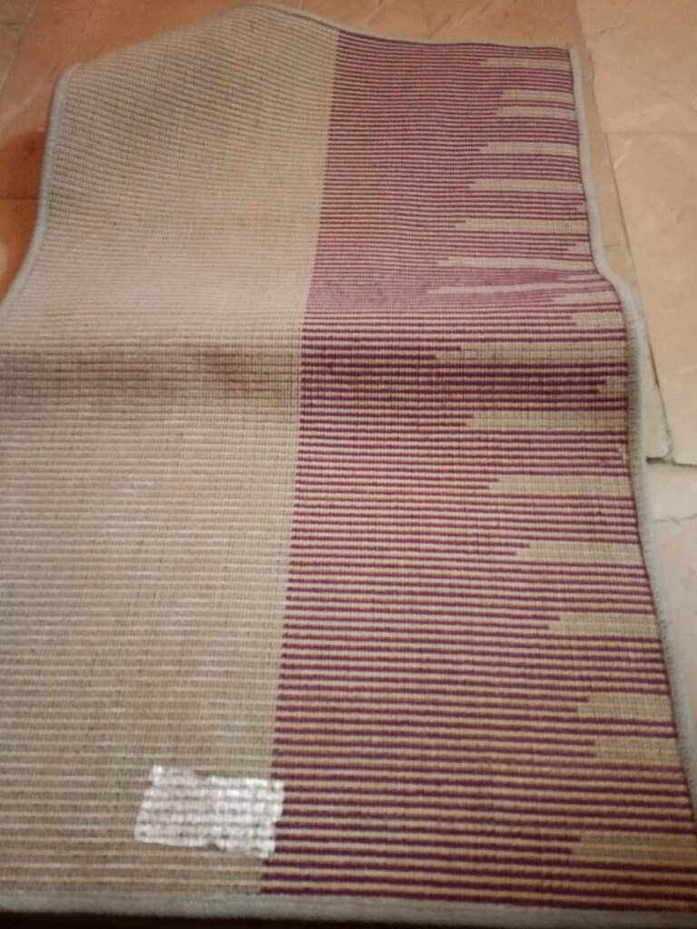 boy80cm en50cm şagi paspas - 2