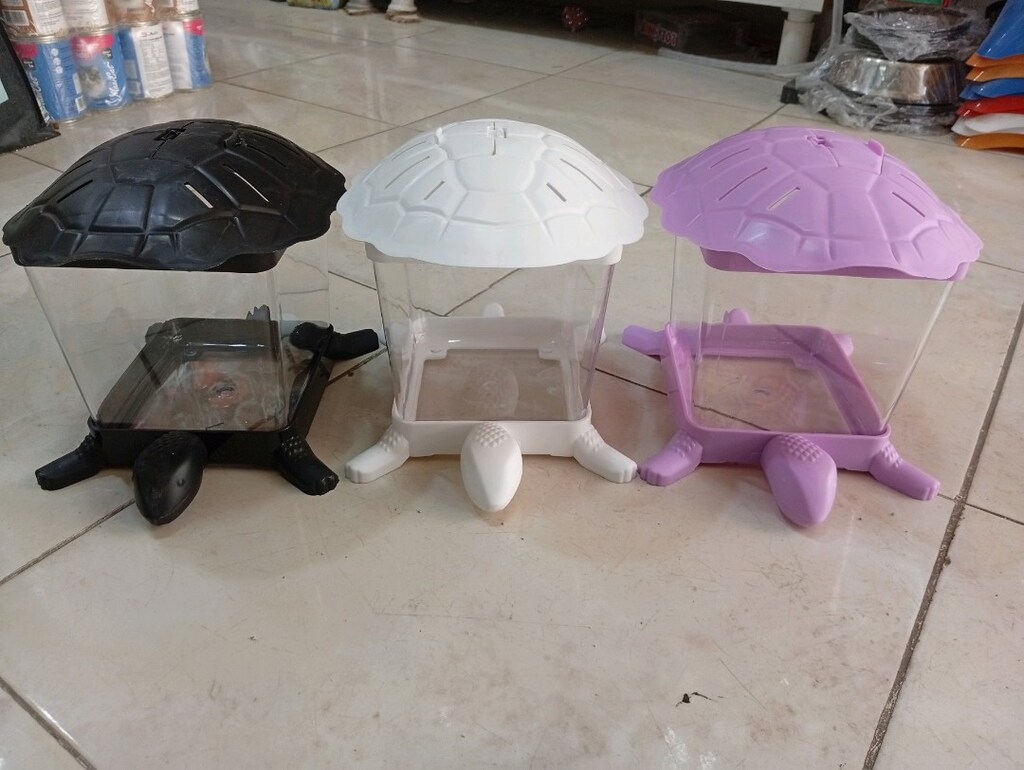 Akvaryum mini beta balıkları için 15cm - 4