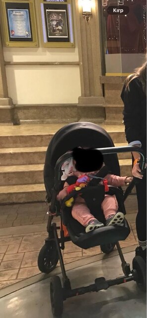 Anex Cross bebek arabası 3in1