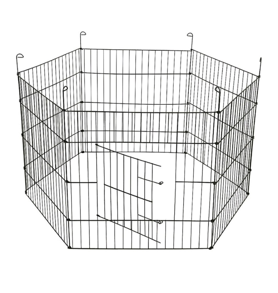 KÖPEK ÇİTİ - 6