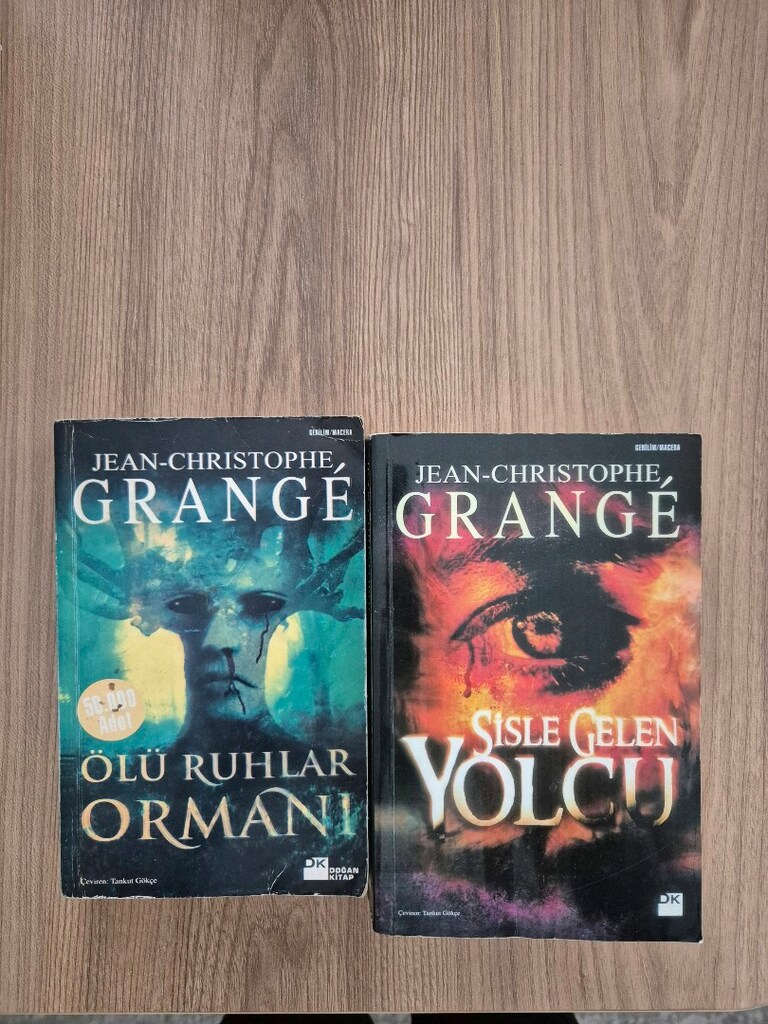 2 adet kitap ölü ruhlar ormanı ve sisle gelen yolcu kitapları - 2