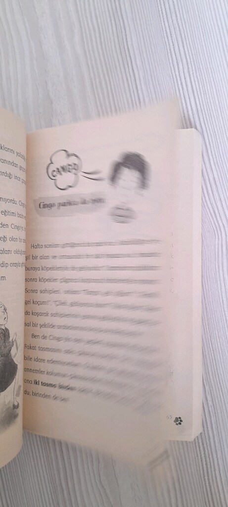 CİNGO BEN İNSAN DEGILMIYIM - 5