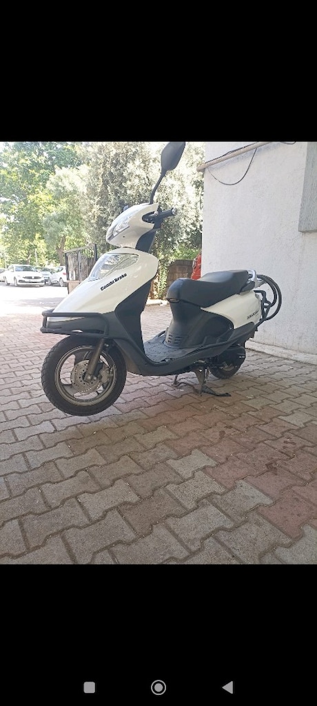 küba zenzero - 2