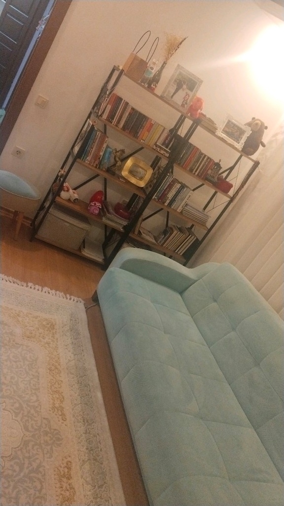 kitaplık, organizer - 2