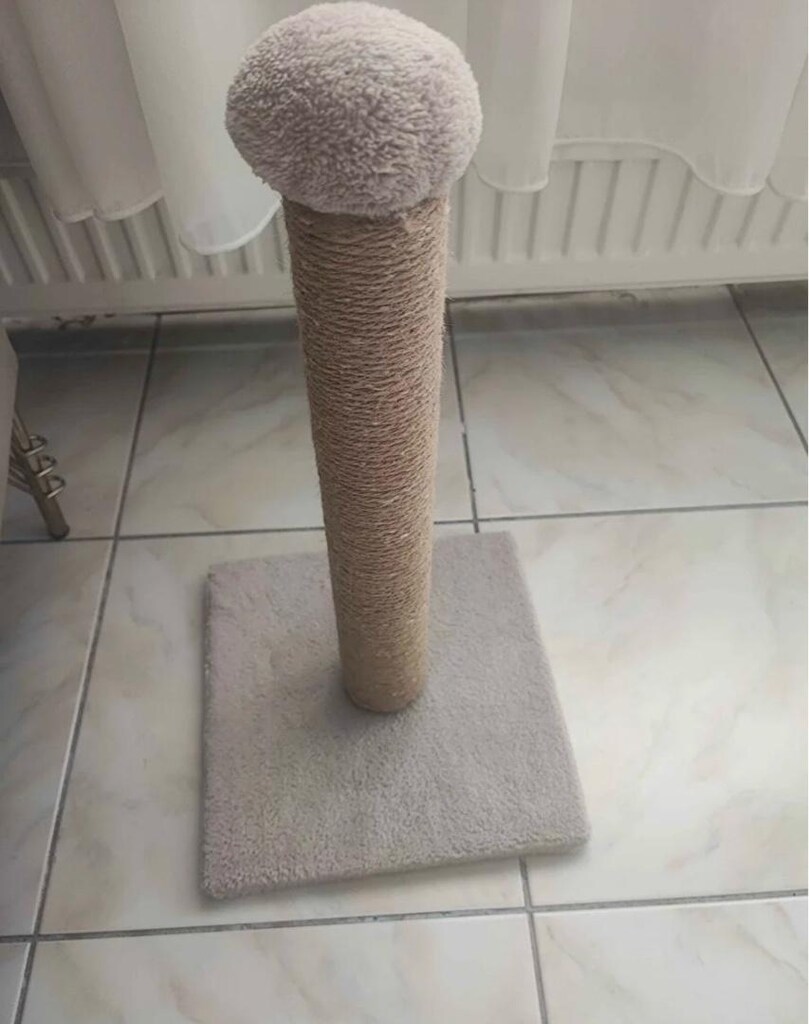 Kedi temel ihtiyaç seti (açıklama okuyun) - 4