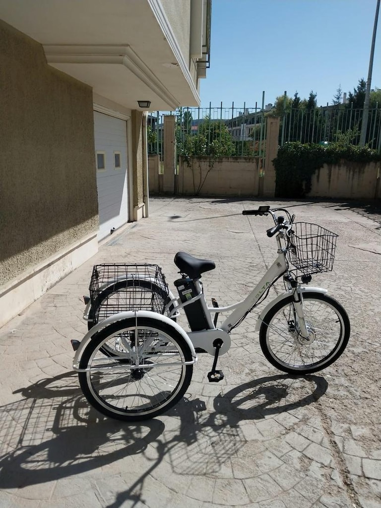 Volta VB5 3 üç tekerlekli elektrikli sepetli yeni gibi bisiklet - 5