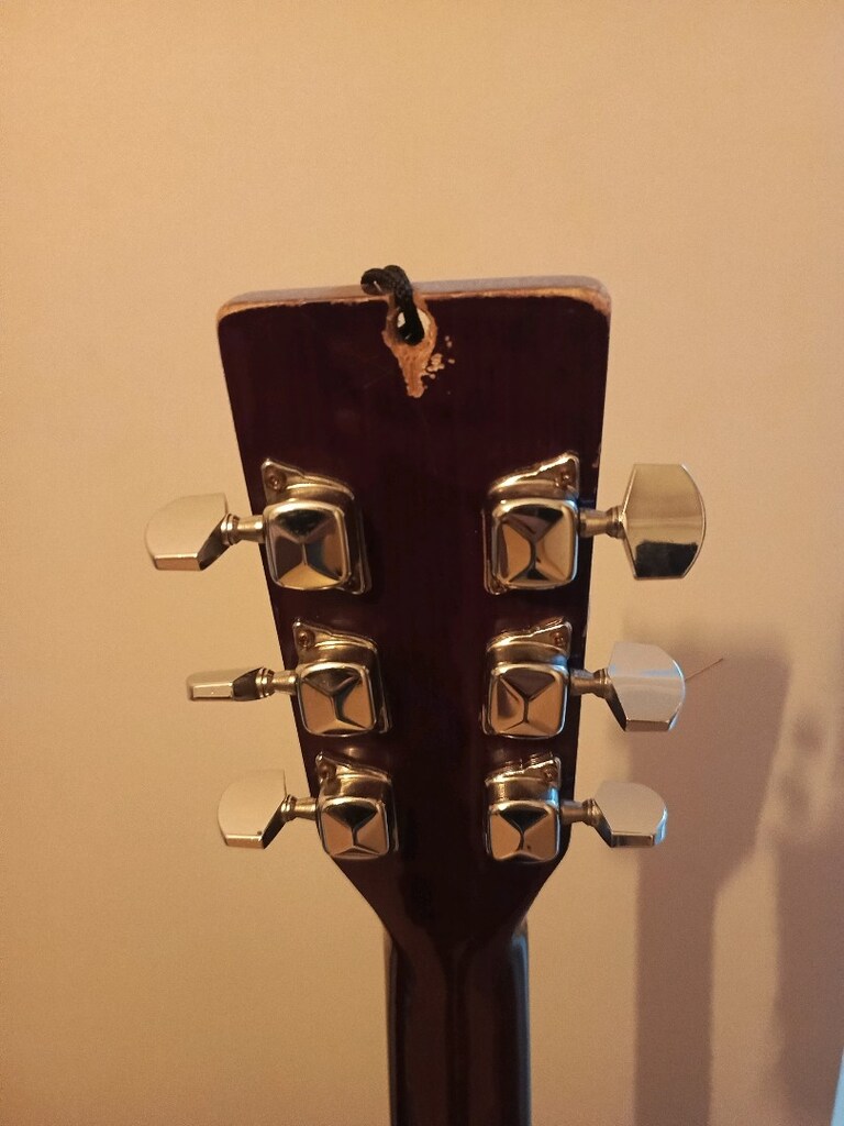 Eagle Akustik gitar - 4