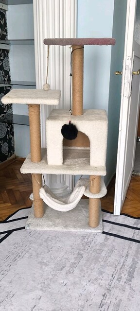 kedi evi