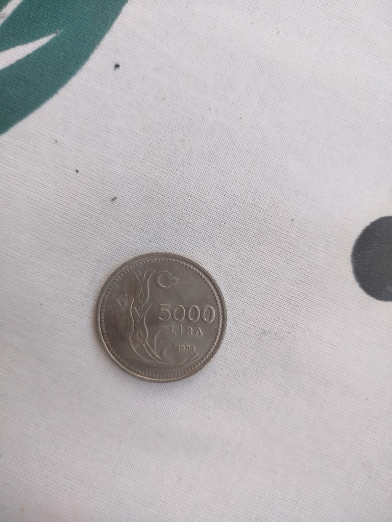 toplu eski madeni paralar