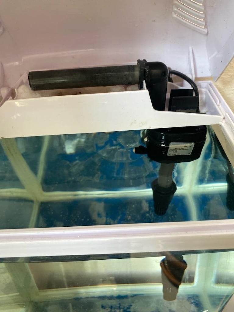 NANO AKVARYUM - 5