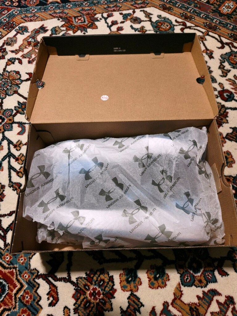 Under Armour Charged Surge 4 - 6