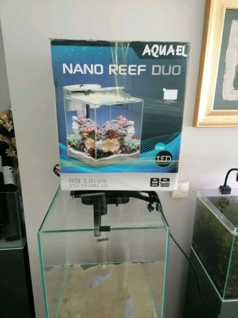 5 AYLIK ** AQUAEL NANO DUO İTHAL SET - 2