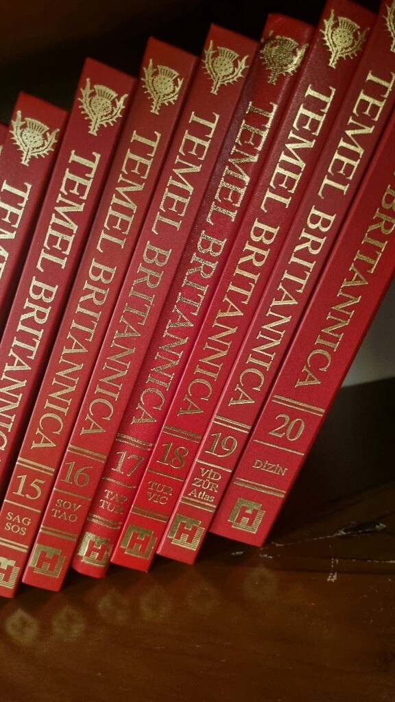 İki Set Ansiklopedi takımı birlikte - 7