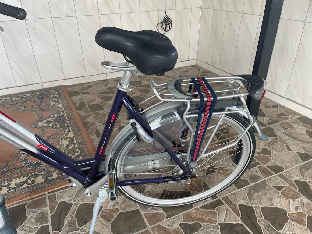 satılık şehir bisikleti gazelle chomonıx - 5