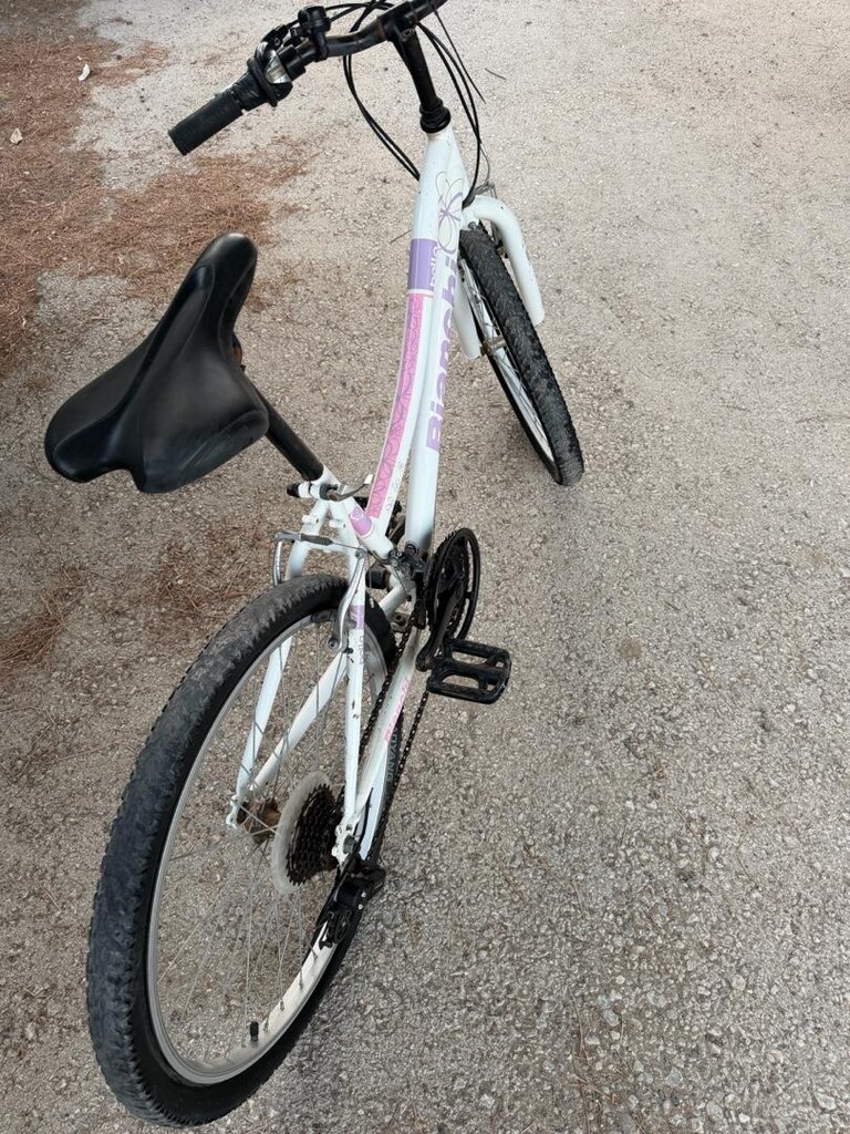 Bianchi bella bisiklet - 3