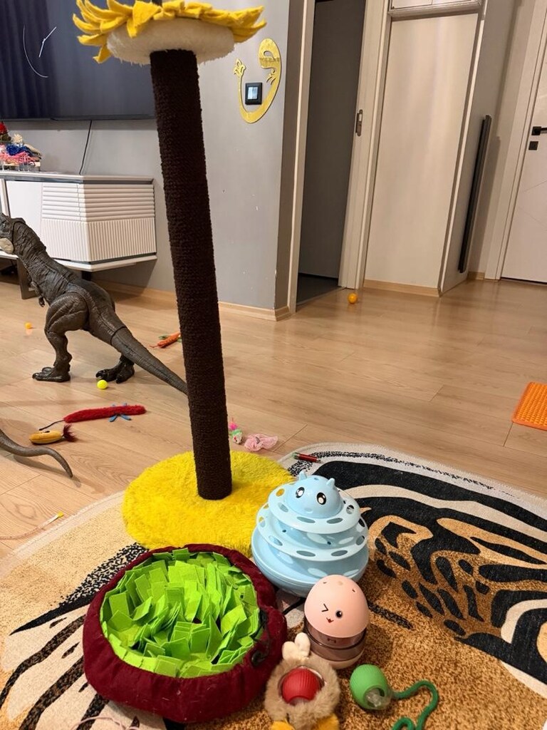 kedi ürünleri - 3