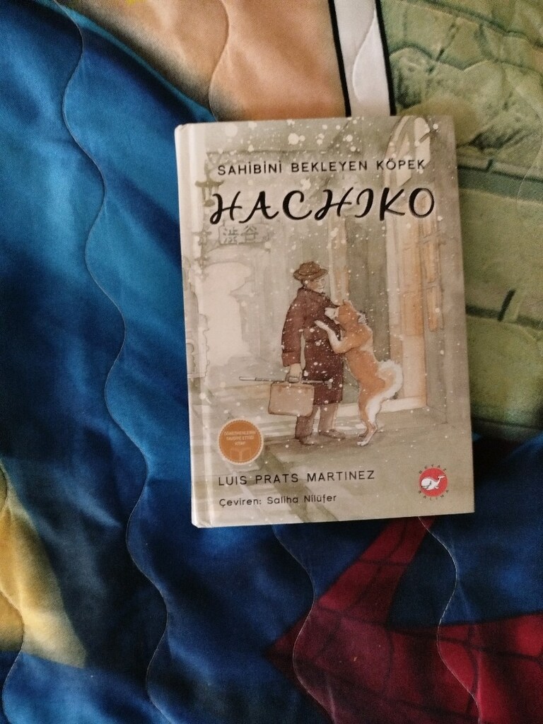 haciko - 2