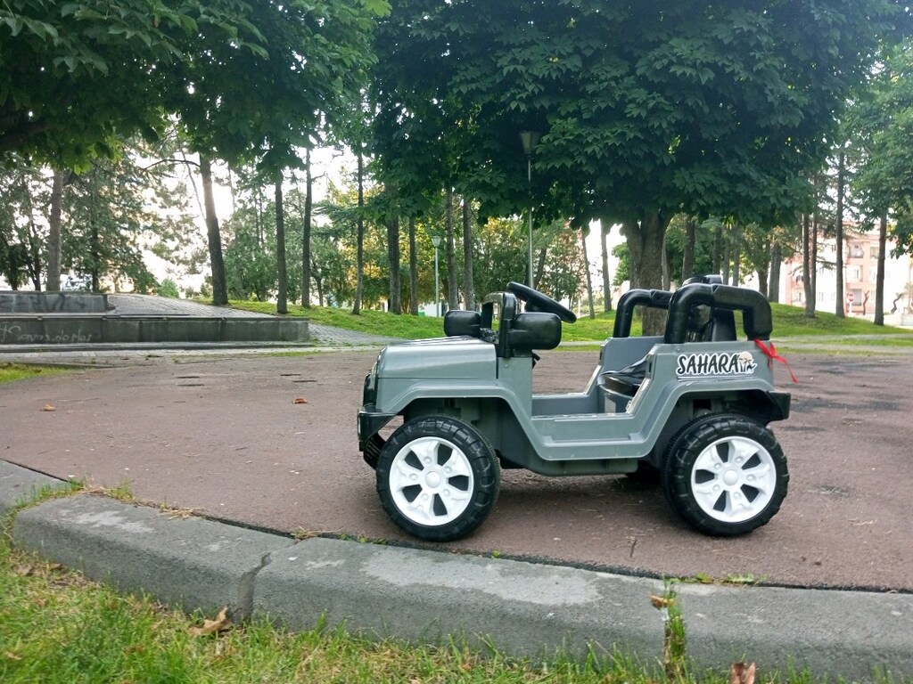 Sahara kumandalı akülü araba - 3