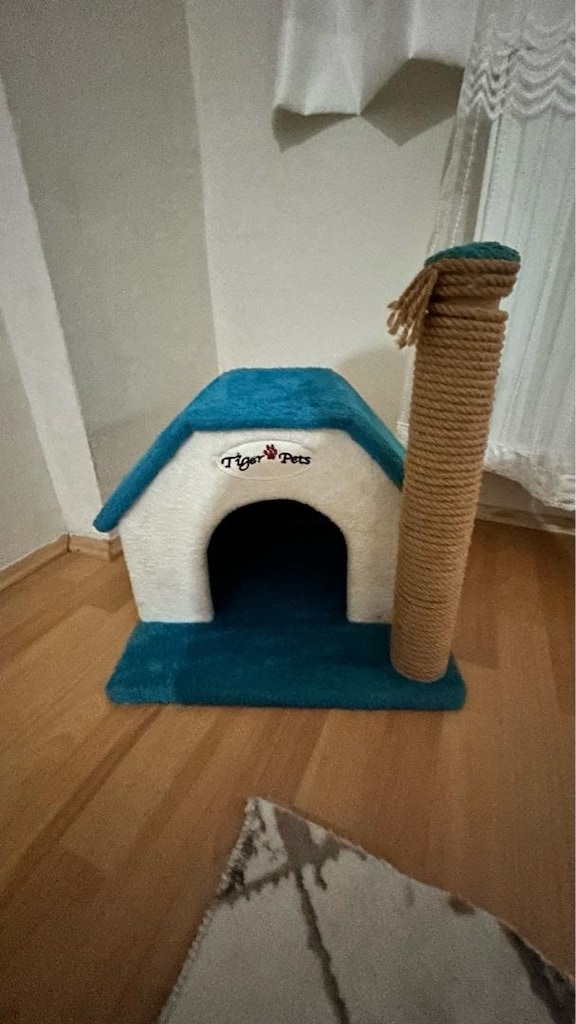 Kedi evi - 4