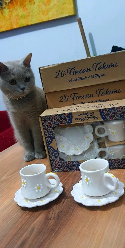 2 Lİ FİNCAN TAKIMI - 2