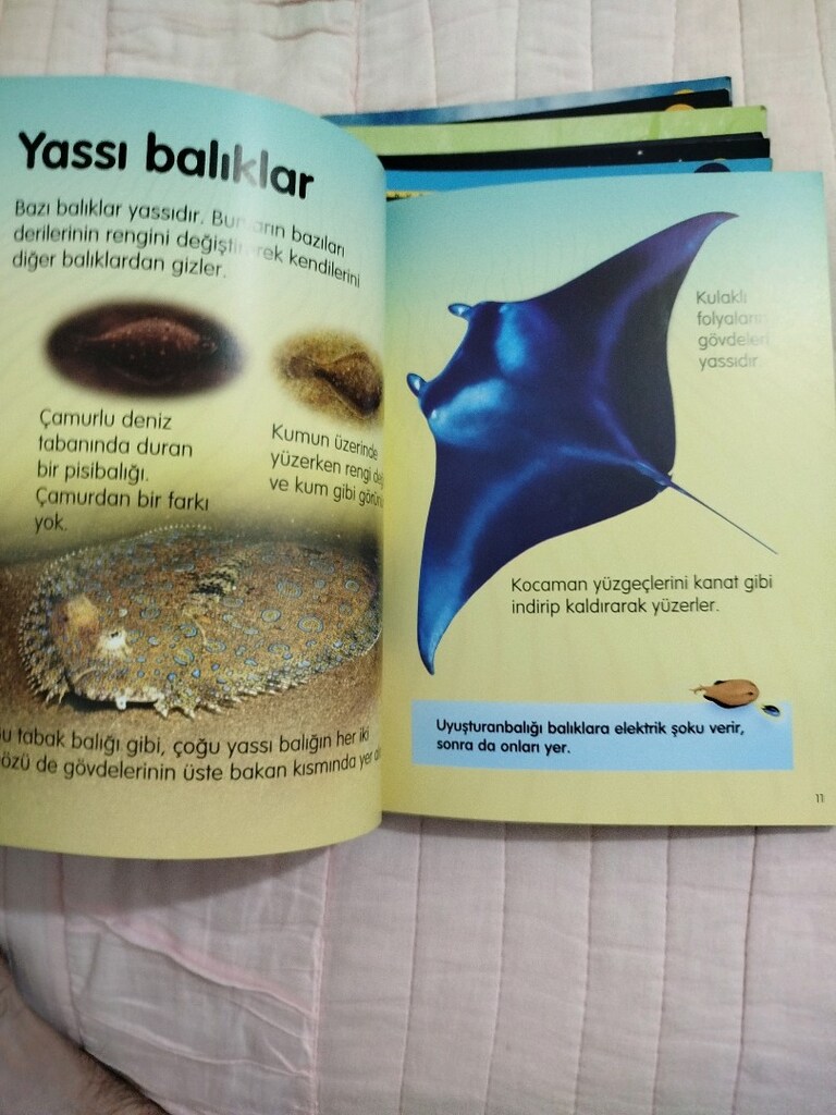 TÜBİTAK, popüler bilim kitapları, 15 adet, Çocuklar İçin Eğitici - 14