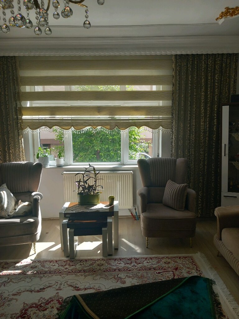 stor zebra perde ve yanlarının fonları - 9