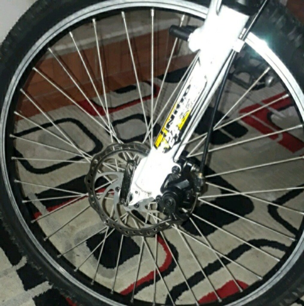 Bianchi Bisiklet - 5