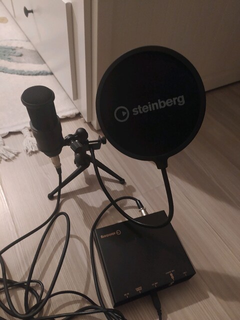 steinberg ur12 podcast mikrofonu ve ses karti