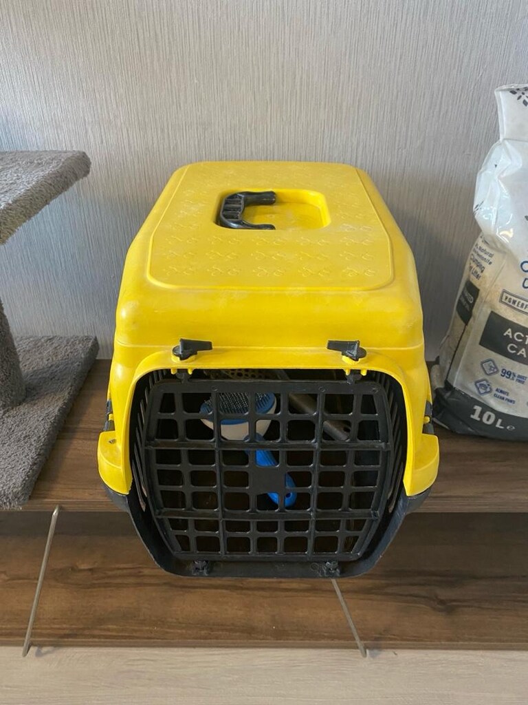Yeni Kedi evi Hediyeli - 4