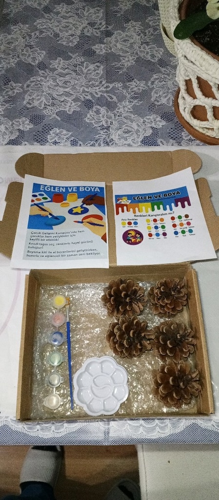 Akrilik Boya ile Kozalak Boyama Seti.(5 küçük kozalak)