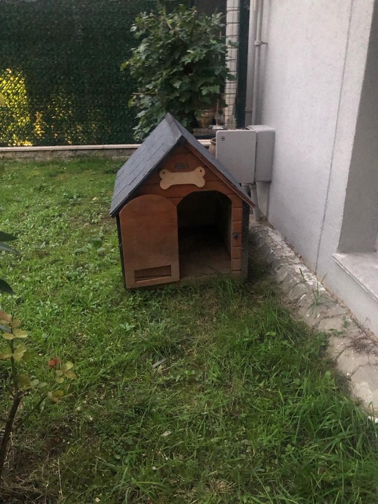 Köpek kulubesi - 3