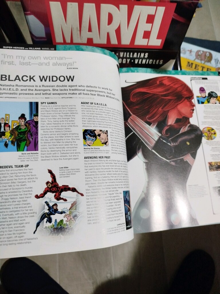 Ultimate Marvel Ansiklopedisi, İNGİLİZCE, DK Yayınları, 320 sayfa - 14