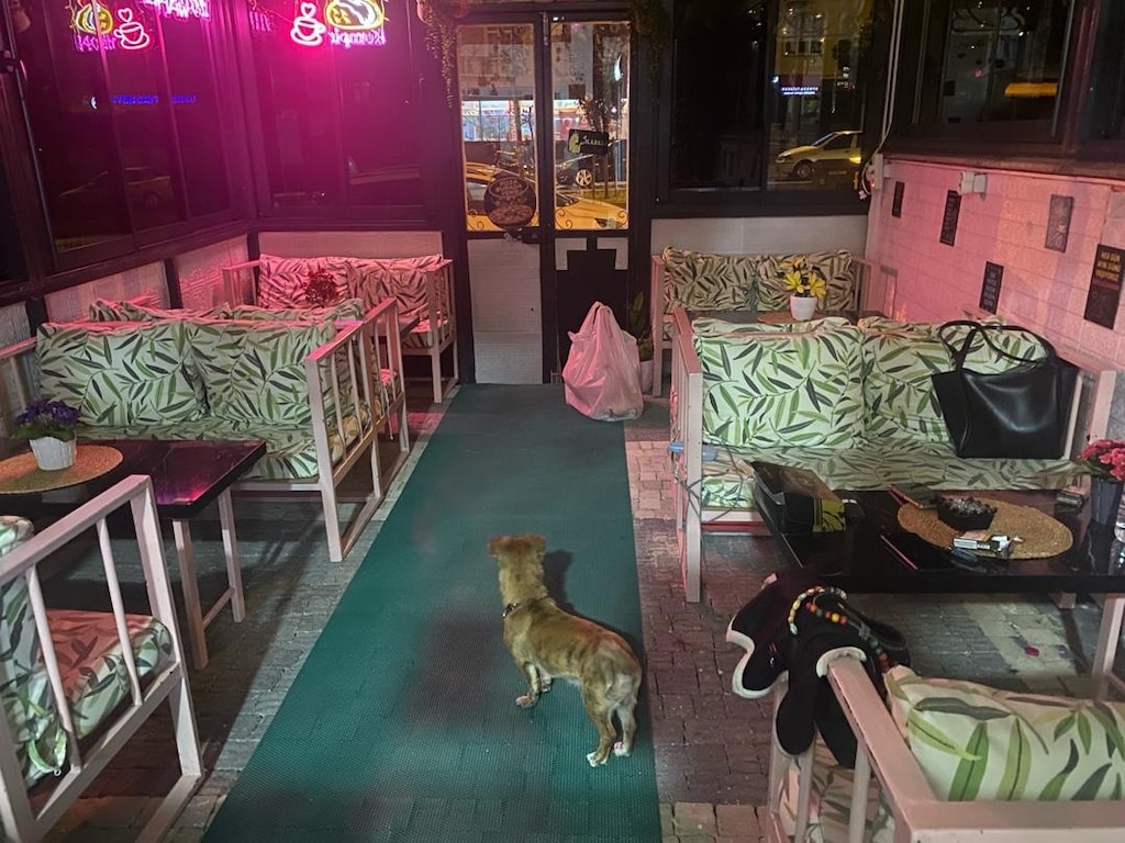 satılık sedir takımları - 2
