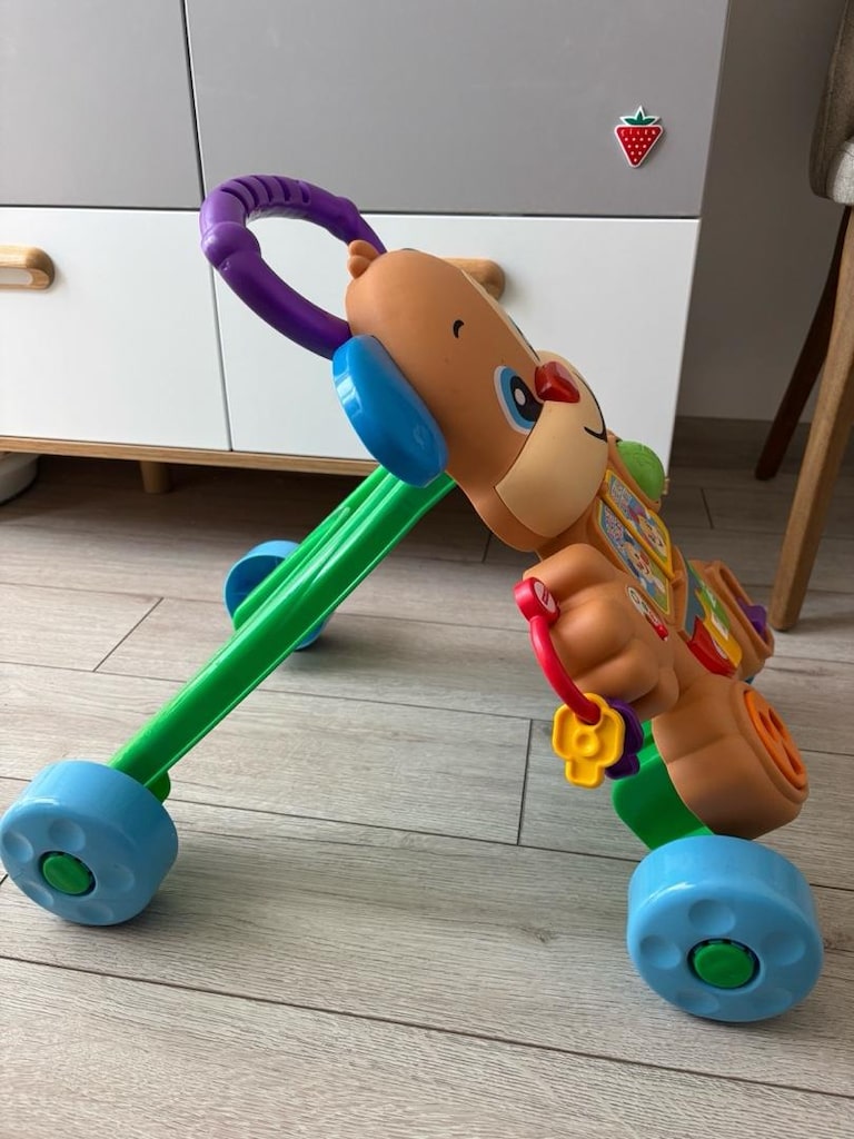 Fisher Price Yürüme Arkadaşı - 5