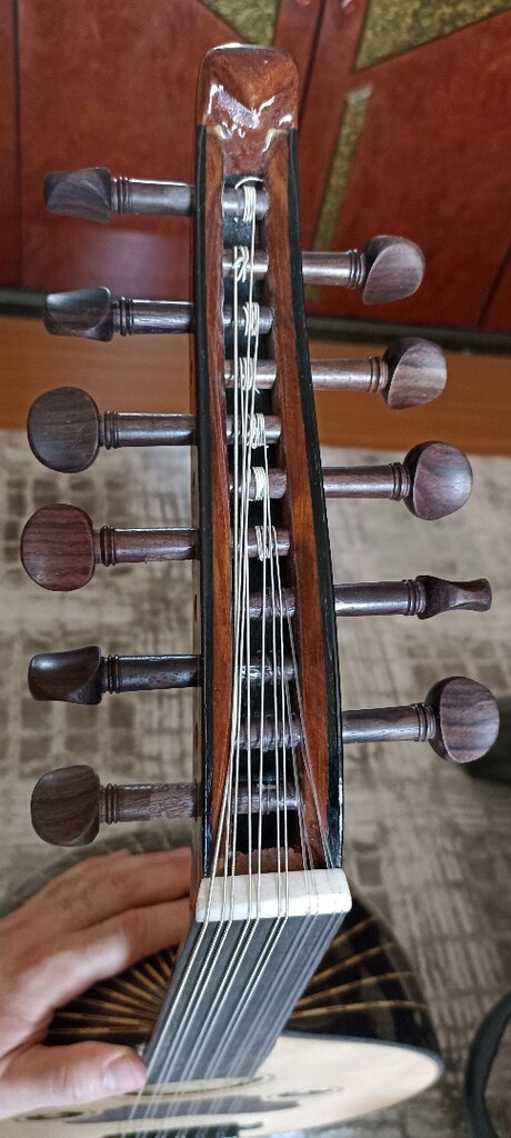 Vefa Aldemir - Ahmet Topan El Yapımı Ud + Hardcase - 4