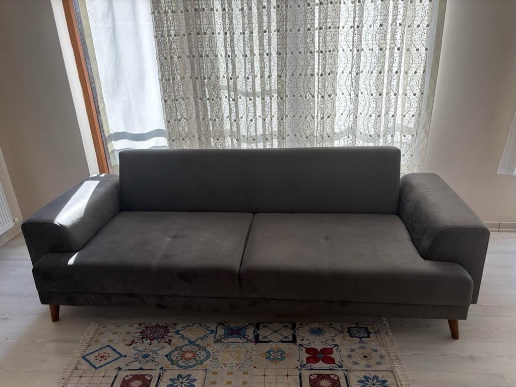 Temiz Üçlü Koltuk ve Berjer - 2