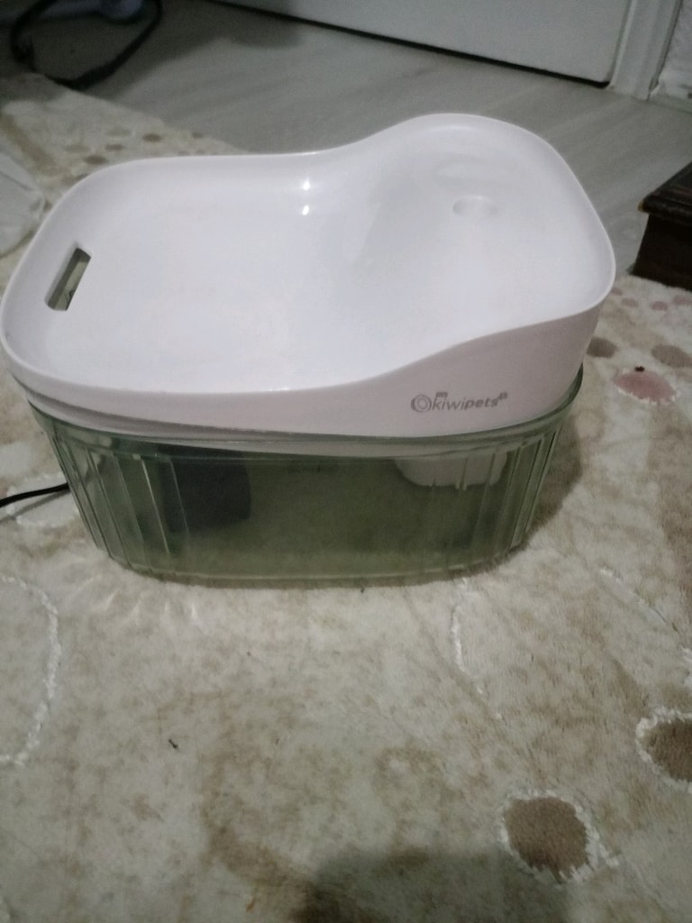 elektirikli kiwipets kedi suluğu - 2