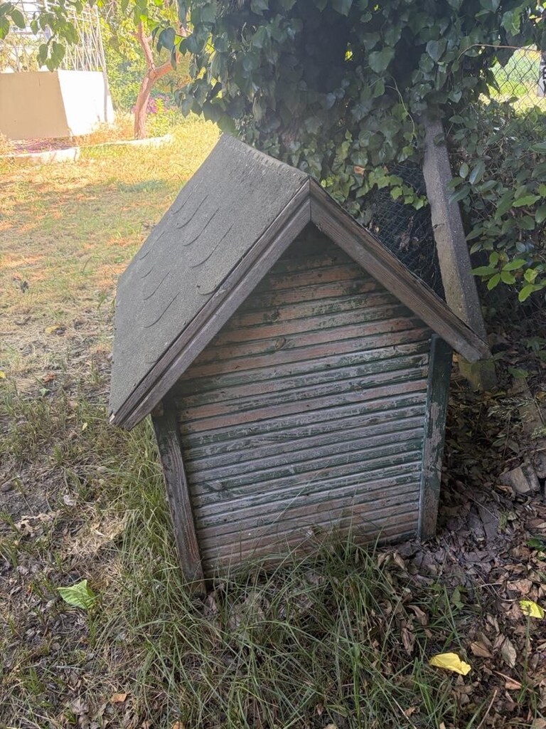 Ahşap Köpek Kulübesi - 3